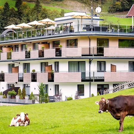 Mountain M&m Finkenberg